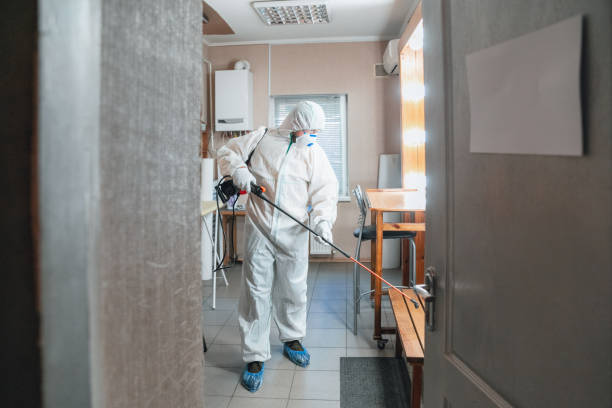 Best Environmental Consulting for Mold Prevention  in Dell Rapids, SD